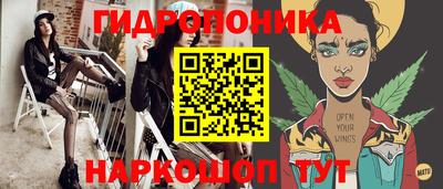 прущие крисы Будённовск