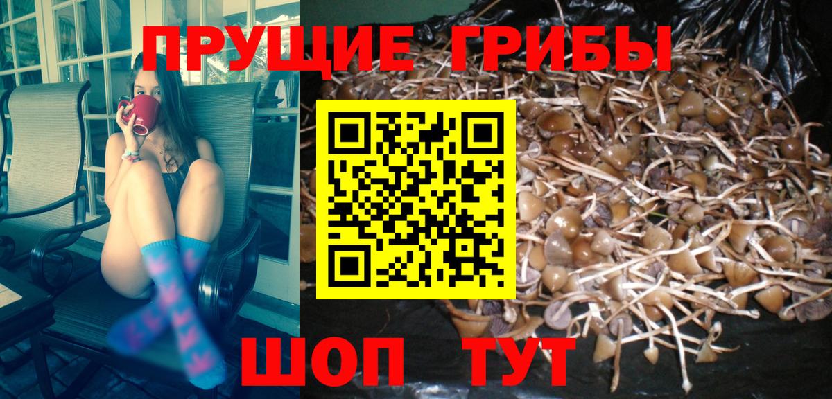 Псилоцибиновые грибы ЛСД Пыть-Ях