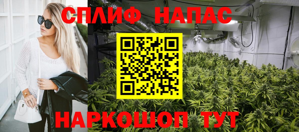 Бошки Шишки план  Бошки Шишки Amnesia  Пыть-Ях  Бошки марихуана гибрид  Вход с VPN 